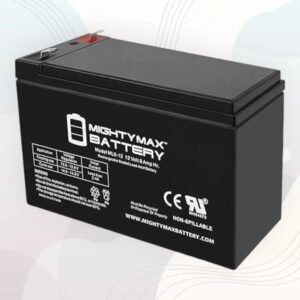 Mighty Max Battery 12V 100Ah Battery